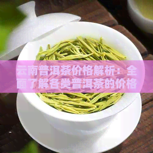 云南普洱茶价格解析：全面了解各类普洱茶的价格区间，助您轻松选购心仪好茶