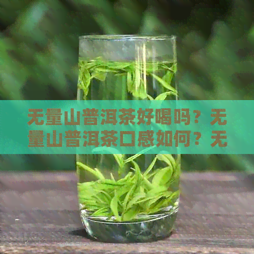 无量山普洱茶好喝吗？无量山普洱茶口感如何？无量山普洱茶评价怎么样？