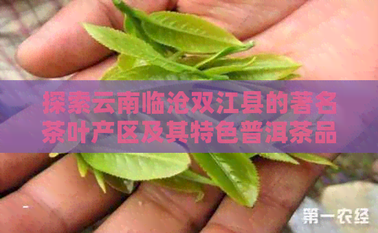 探索云南临沧双江县的著名茶叶产区及其特色普洱茶品种