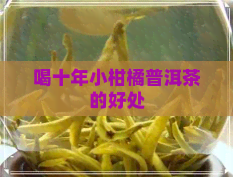 喝十年小柑橘普洱茶的好处