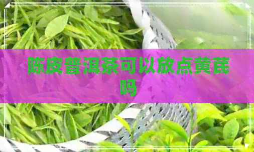 陈皮普洱茶可以放点黄芪吗