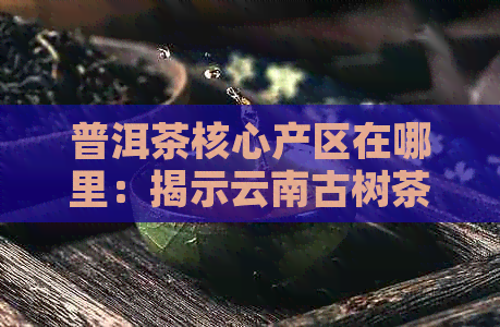 普洱茶核心产区在哪里：揭示云南古树茶的神秘之地