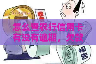 怎么查农行信用卡有没有逾期，欠款情况，还款记录？