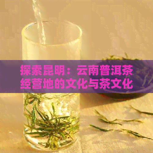 探索昆明：云南普洱茶经营地的文化与茶文化景点