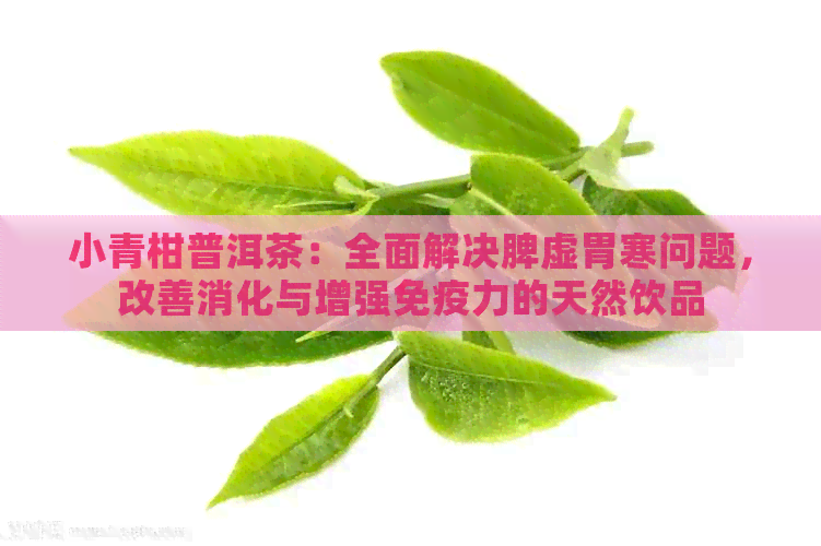 小青柑普洱茶：全面解决脾虚胃寒问题，改善消化与增强免疫力的天然饮品