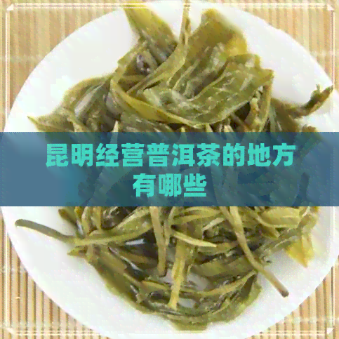 昆明经营普洱茶的地方有哪些