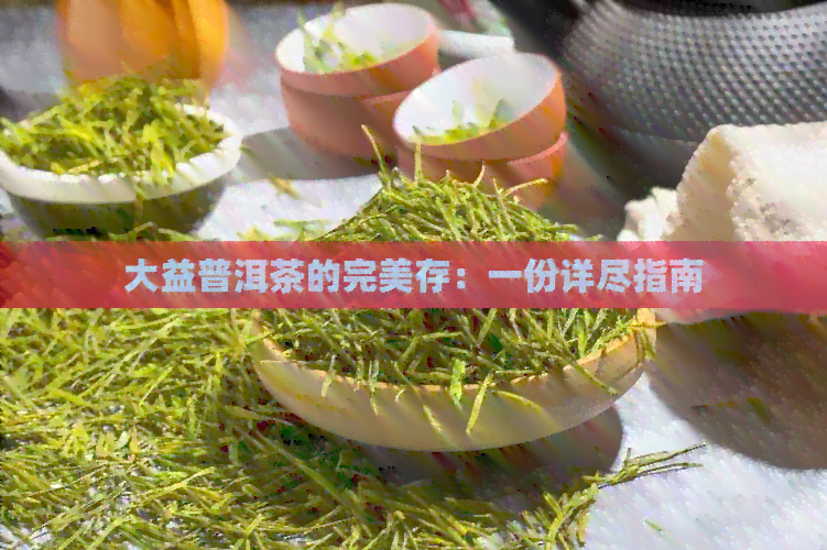 大益普洱茶的完美存：一份详尽指南