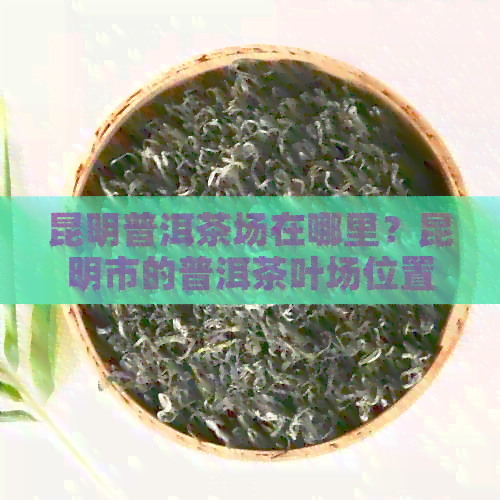 昆明普洱茶场在哪里？昆明市的普洱茶叶场位置是什么？