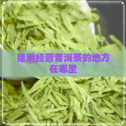 昆明经营普洱茶的地方在哪里