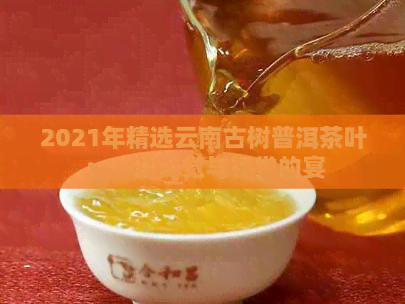 2021年精选云南古树普洱茶叶：一场味觉与视觉的宴