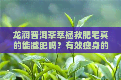 龙润普洱茶萃拯救肥宅真的能减肥吗？有效瘦身的秘密在这里！