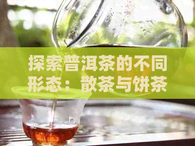 探索普洱茶的不同形态：散茶与饼茶的对比分析