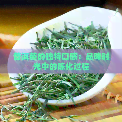 普洱茶的独特口感：品味时光中的陈化过程