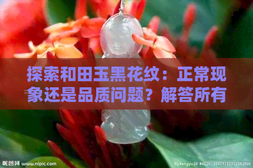 探索和田玉黑花纹：正常现象还是品质问题？解答所有疑虑