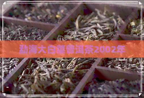 勐海大白菜普洱茶2002年