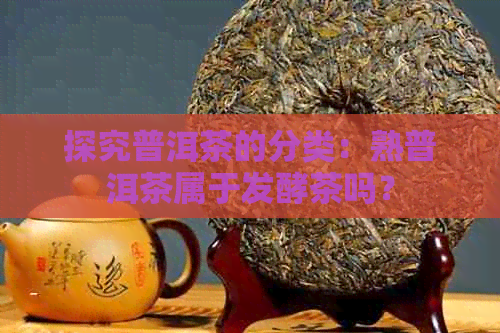 探究普洱茶的分类：熟普洱茶属于发酵茶吗？