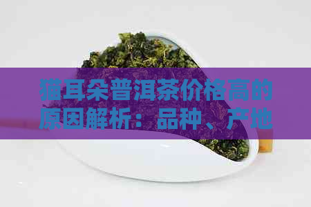 猫耳朵普洱茶价格高的原因解析：品种、产地、制作工艺等多个方面全面解答