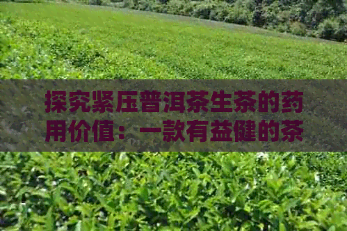 探究紧压普洱茶生茶的药用价值：一款有益健的茶叶选择