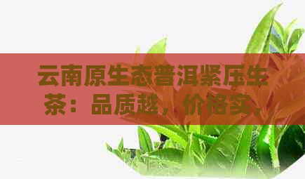 云南原生态普洱紧压生茶：品质越，价格实，批发保障