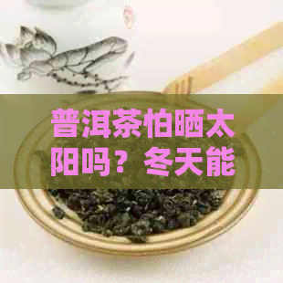 普洱茶怕晒太阳吗？冬天能喝吗？为什么呢？