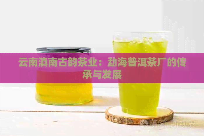 云南滇南古韵茶业：勐海普洱茶厂的传承与发展