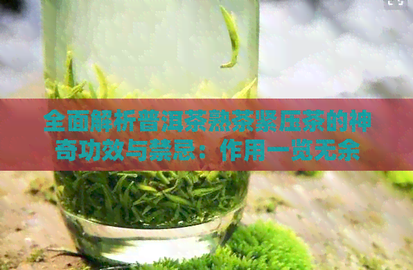 全面解析普洱茶熟茶紧压茶的神奇功效与禁忌：作用一览无余