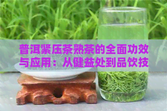 普洱紧压茶熟茶的全面功效与应用：从健益处到品饮技巧一文解析