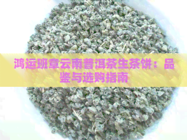 鸿运班章云南普洱茶生茶饼：品鉴与选购指南