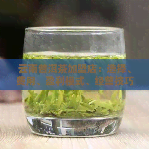 云南普洱茶加盟店：选择、费用、盈利模式、经营技巧等全方位解答