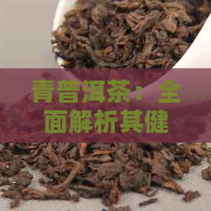 青普洱茶：全面解析其健效益和潜在风险