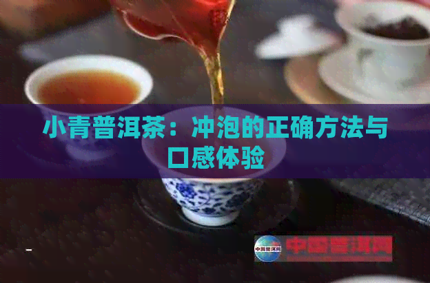 小青普洱茶：冲泡的正确方法与口感体验