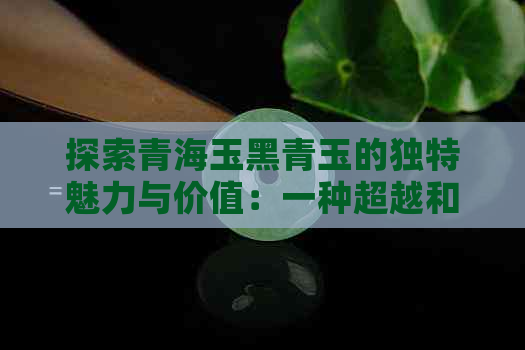 探索青海玉黑青玉的独特魅力与价值：一种超越和田玉的文化瑰宝