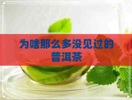 为啥那么多没见过的普洱茶