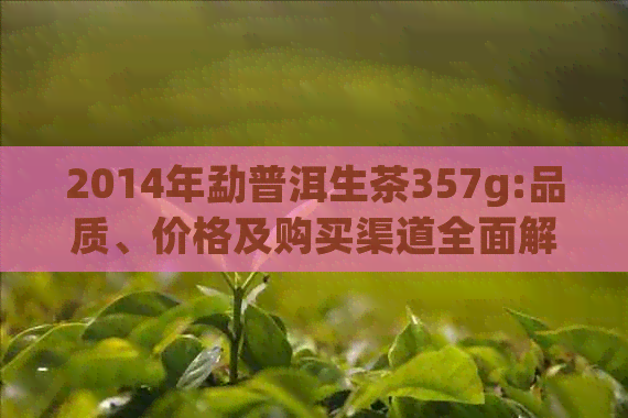 2014年勐普洱生茶357g:品质、价格及购买渠道全面解析