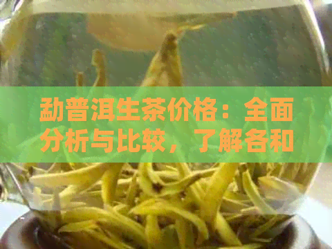 勐普洱生茶价格：全面分析与比较，了解各和等级的价格差异