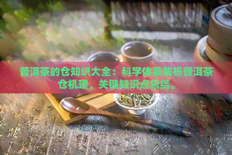 普洱茶的仓知识大全：科学体系解析普洱茶仓机理，关键知识点总结。