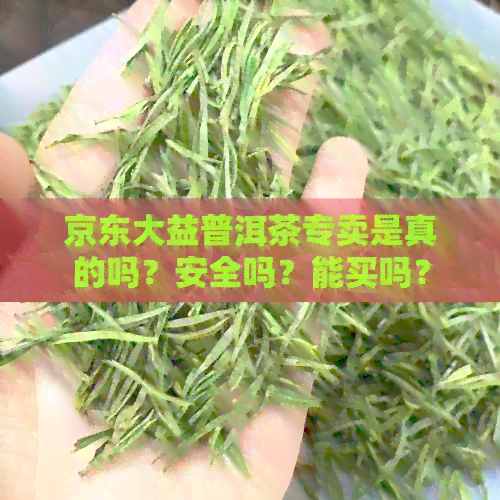 京东大益普洱茶专卖是真的吗？安全吗？能买吗？