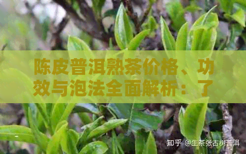 陈皮普洱熟茶价格、功效与泡法全面解析：了解这款中国茶的品质与口感