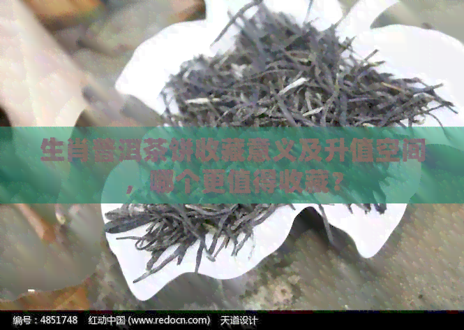 生肖普洱茶饼收藏意义及升值空间，哪个更值得收藏？