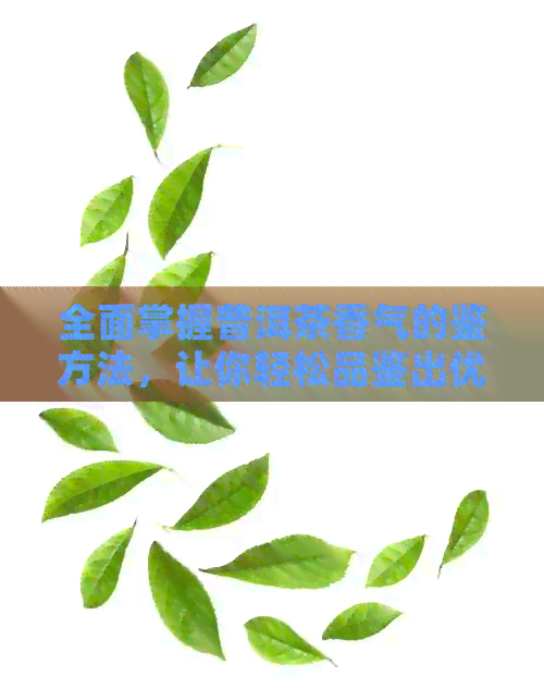 全面掌握普洱茶香气的鉴方法，让你轻松品鉴出优质普洱茶