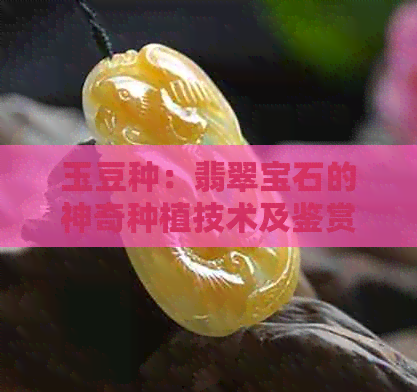 玉豆种：翡翠宝石的神奇种植技术及鉴赏之道