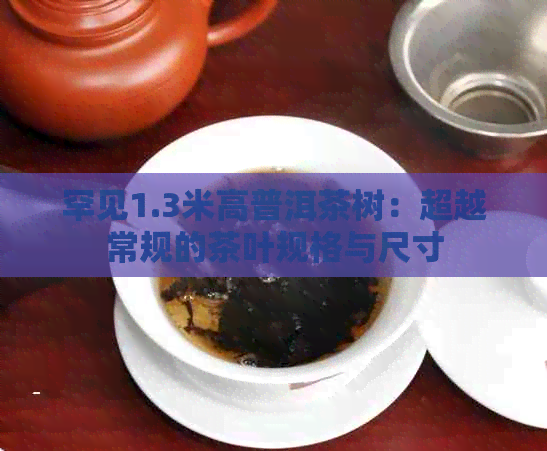 罕见1.3米高普洱茶树：超越常规的茶叶规格与尺寸