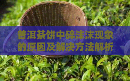 普洱茶饼中碎沫沫现象的原因及解决方法解析