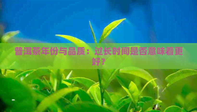 普洱茶年份与品质：过长时间是否意味着更好？