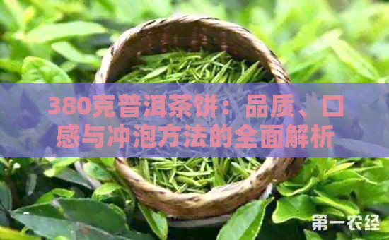 380克普洱茶饼：品质、口感与冲泡方法的全面解析