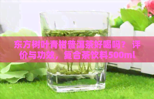 东方树叶青柑普洱茶好喝吗？ 评价与功效，复合茶饮料500ml