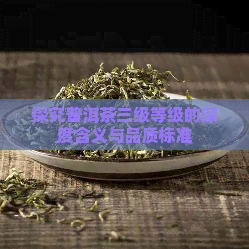 探究普洱茶三级等级的深度含义与品质标准