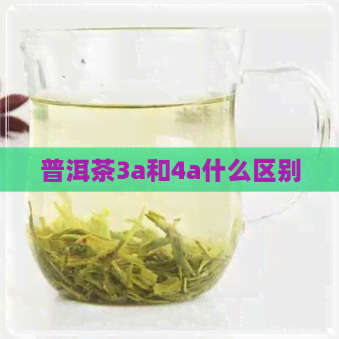 普洱茶3a和4a什么区别