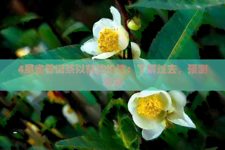 4星雀普洱茶以前的价格：了解过去，预测未来