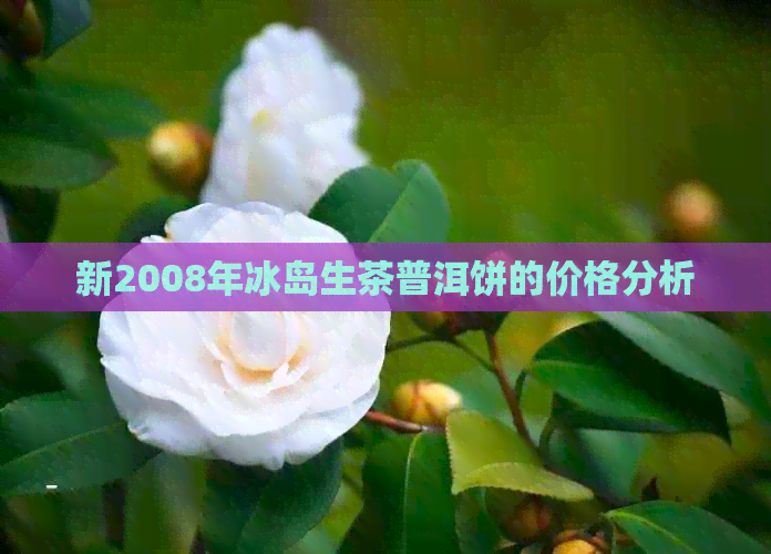 新2008年冰岛生茶普洱饼的价格分析